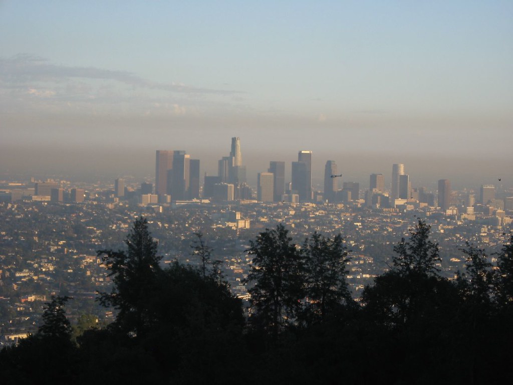 Sunrise Spots for Morning Meditation and Yoga Draw Early Crowds to Santa Ana Parks